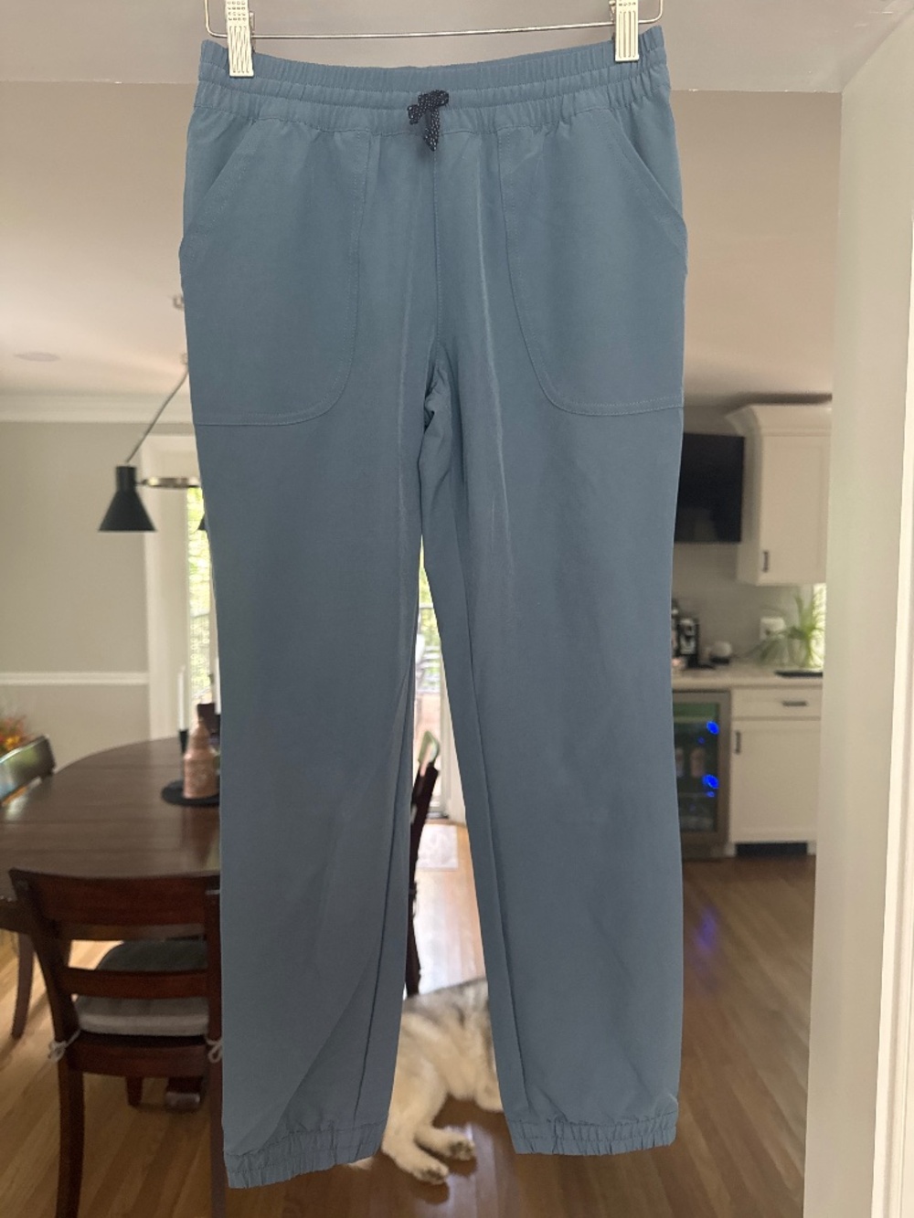 Kids' Foxglenn Joggers Current Blue Size Large